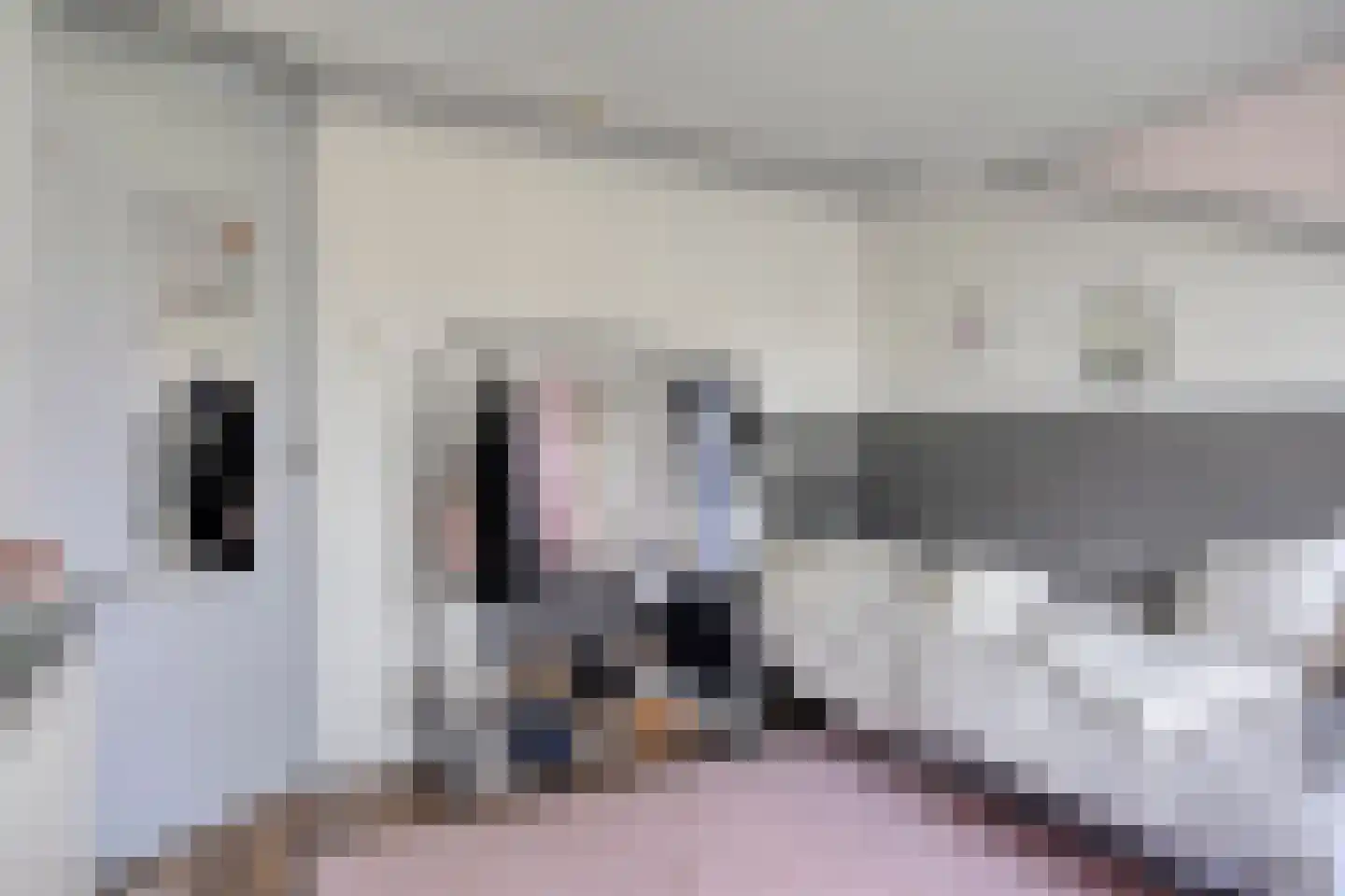 Welleweg 7 Dreischor thumbnail 28