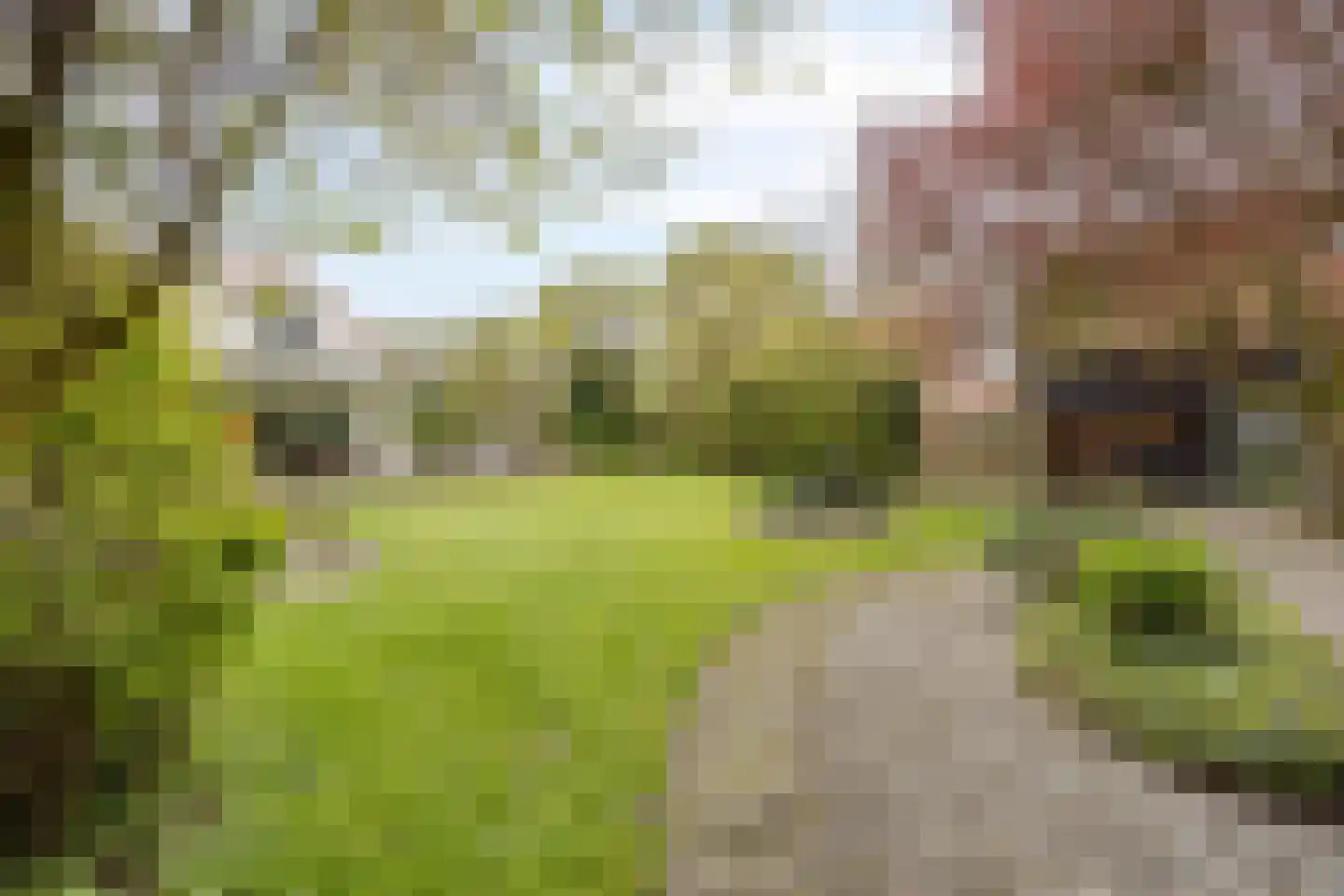 Welleweg 7 Dreischor thumbnail 31