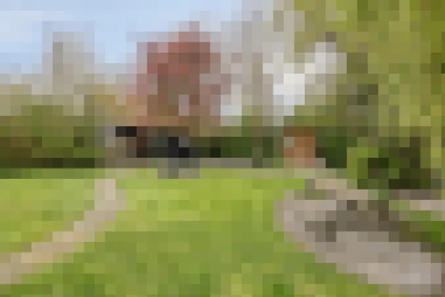 Welleweg 7 Dreischor thumbnail 34