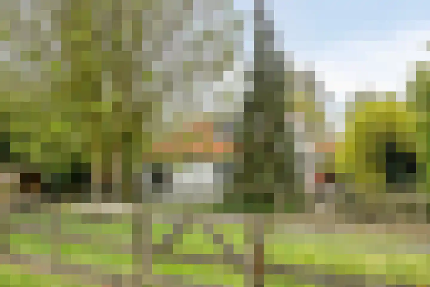 Welleweg 7 Dreischor thumbnail 35