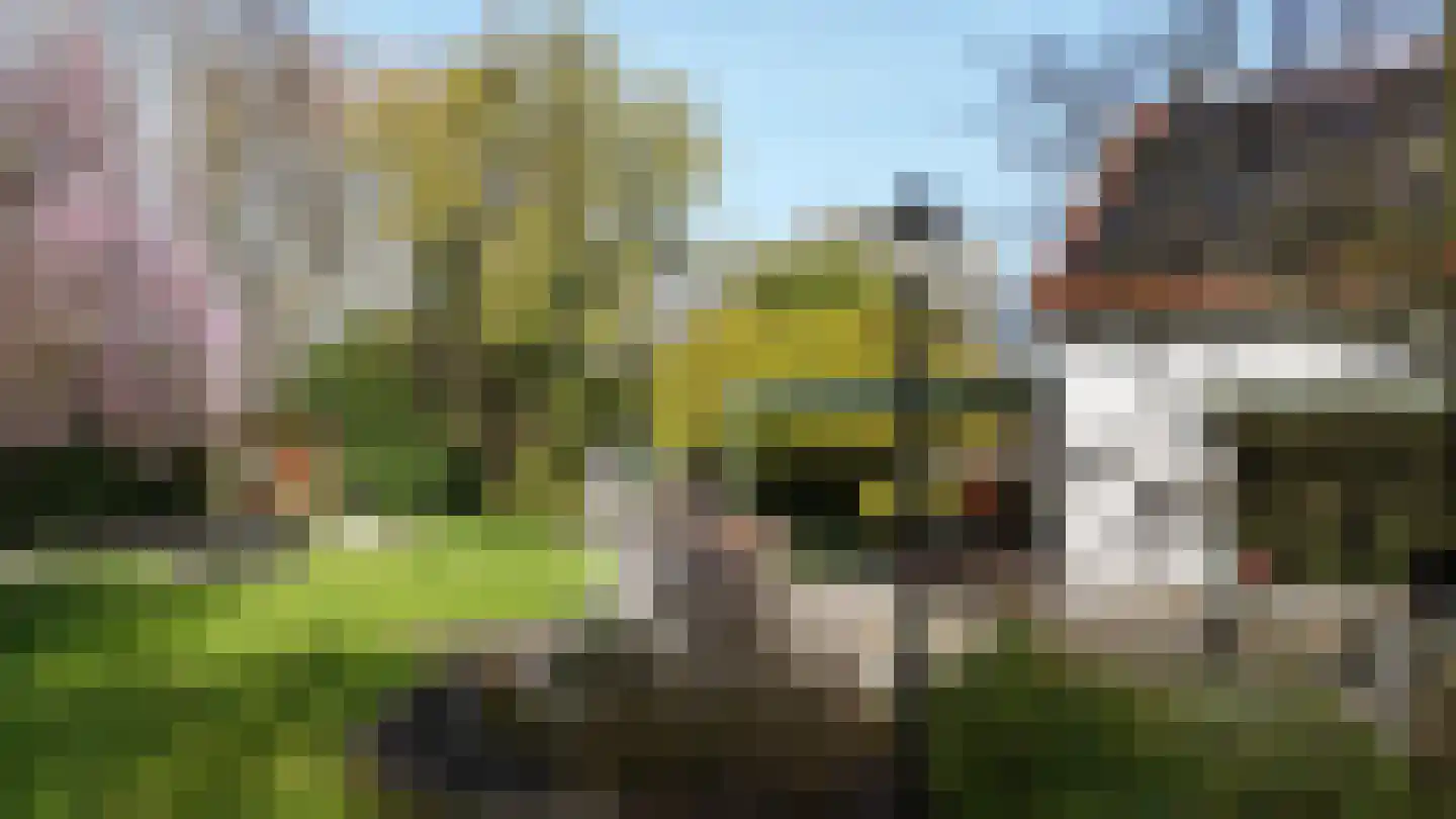 Welleweg 7 Dreischor thumbnail 38