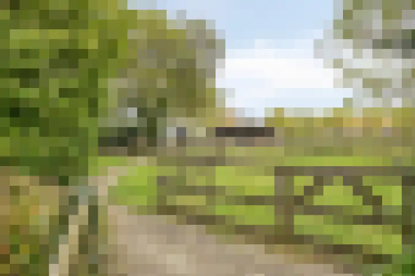 Welleweg 7 Dreischor thumbnail 39