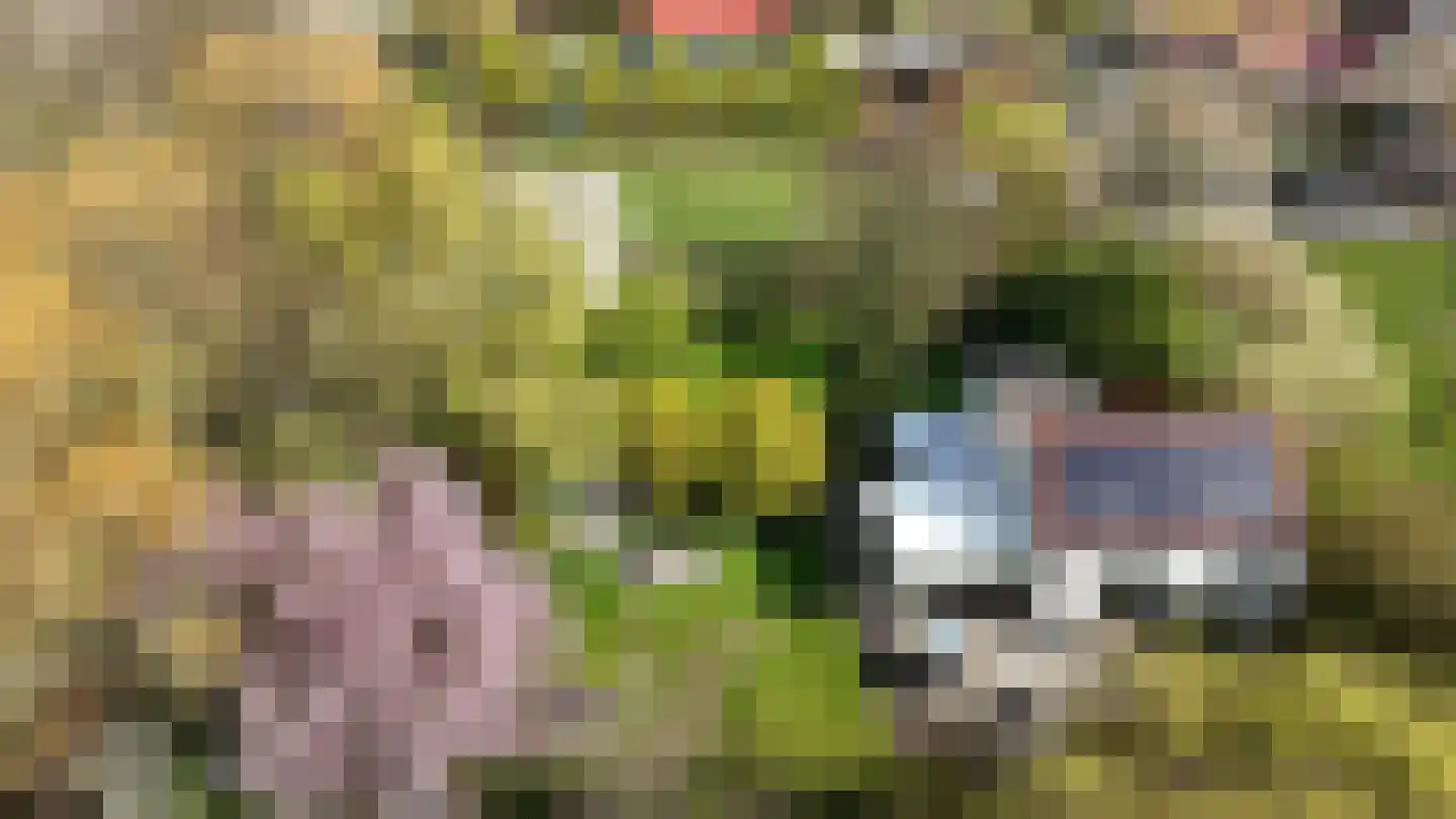 Welleweg 7 Dreischor thumbnail 4