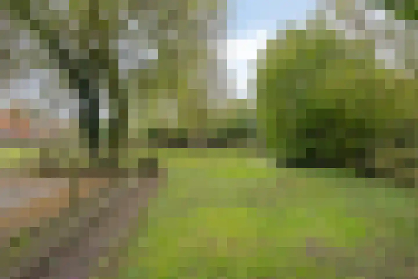 Welleweg 7 Dreischor thumbnail 40