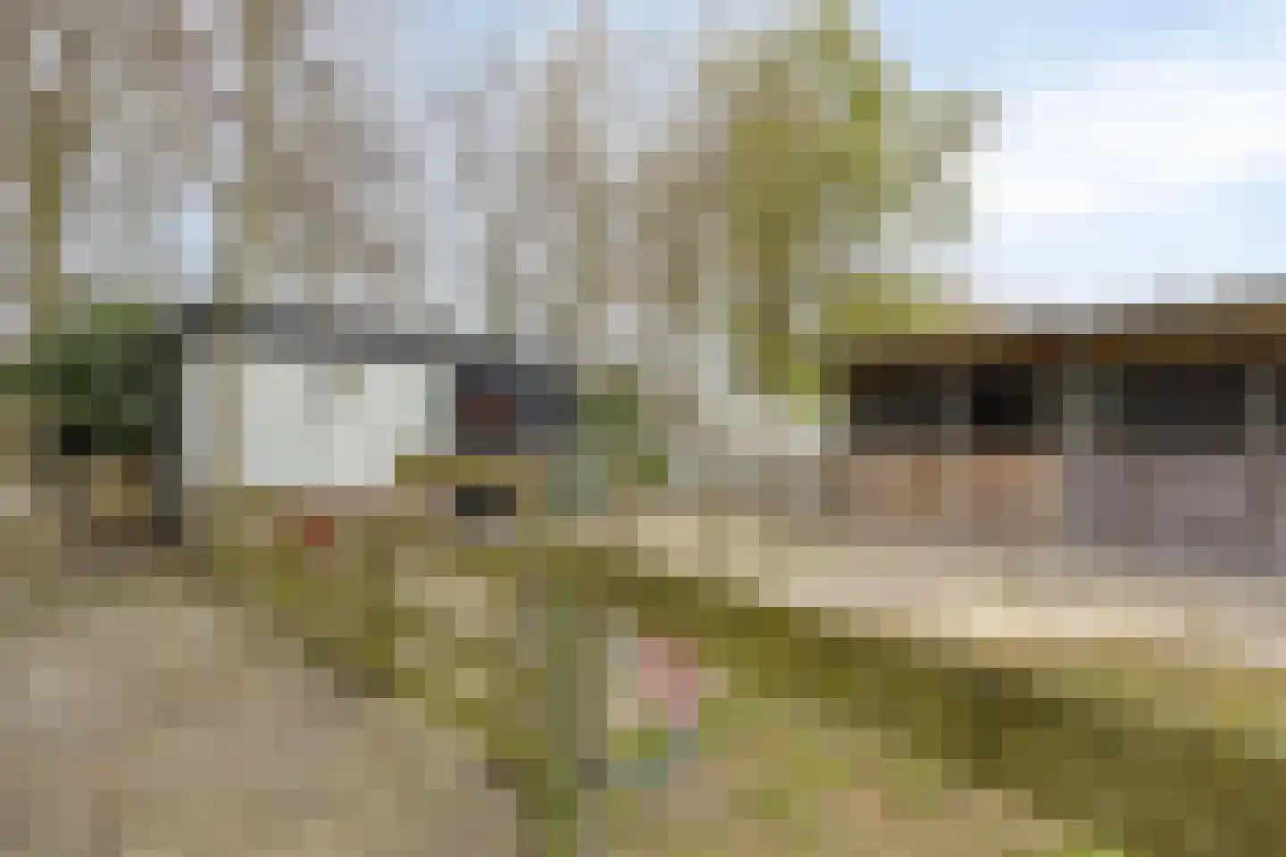 Welleweg 7 Dreischor thumbnail 42