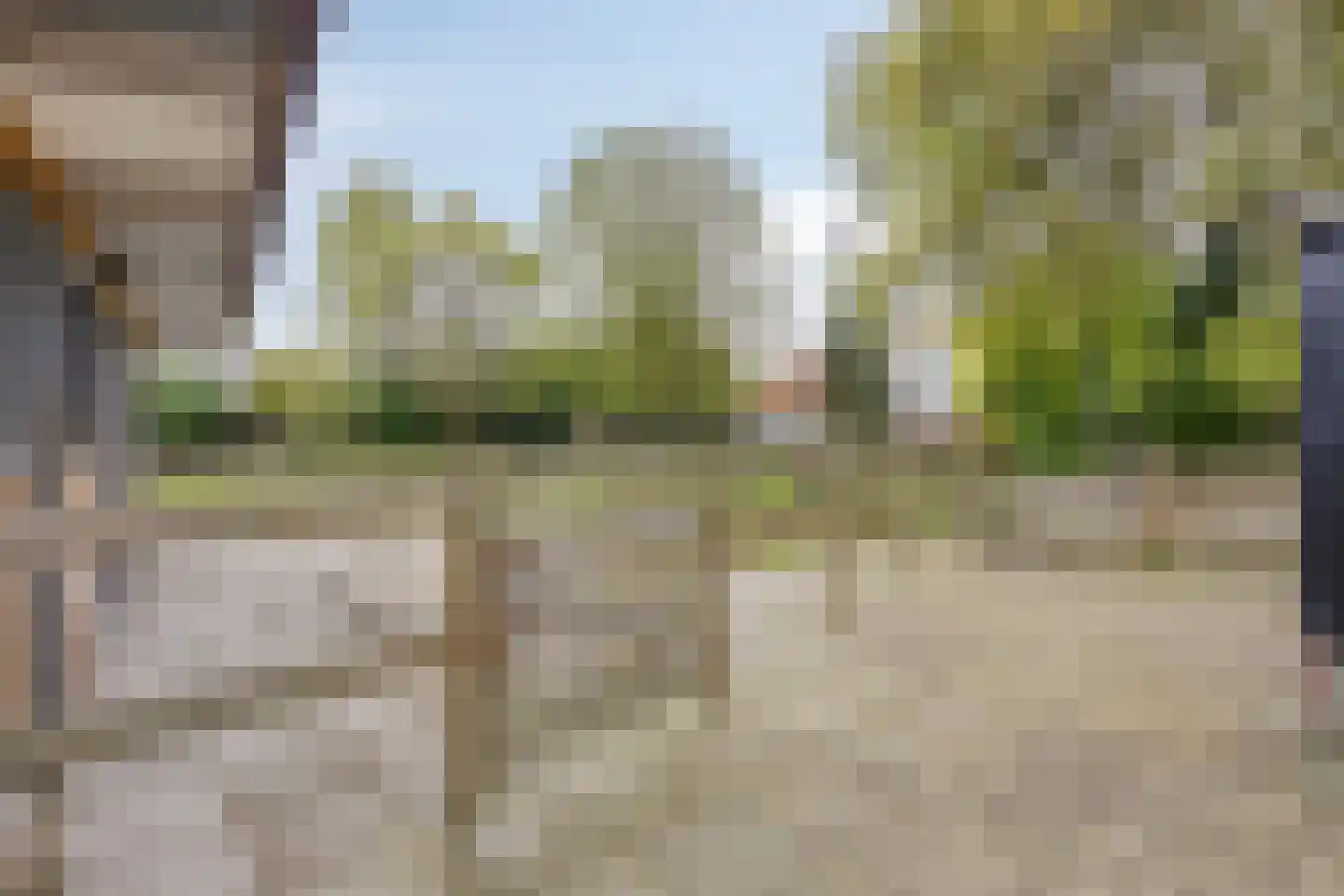 Welleweg 7 Dreischor thumbnail 43