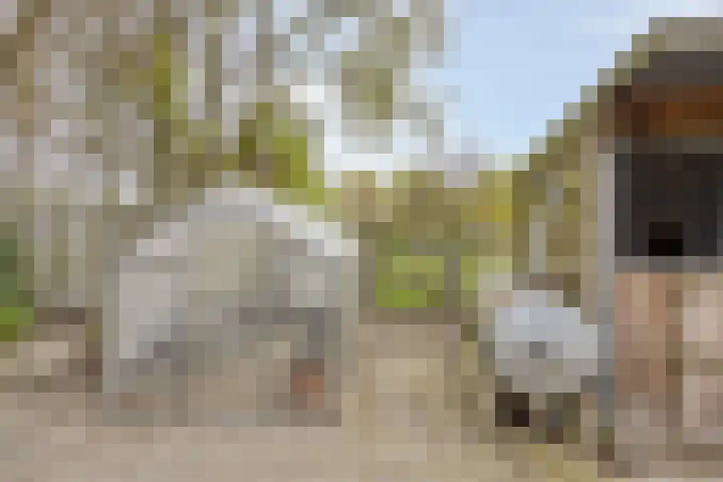 Welleweg 7 Dreischor thumbnail 44