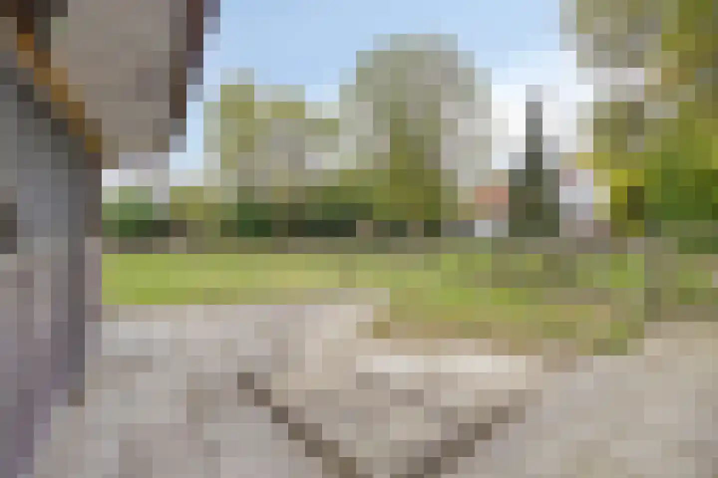 Welleweg 7 Dreischor thumbnail 45