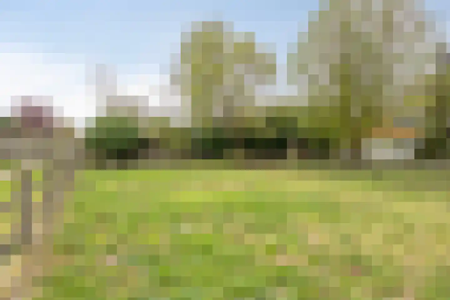 Welleweg 7 Dreischor thumbnail 47