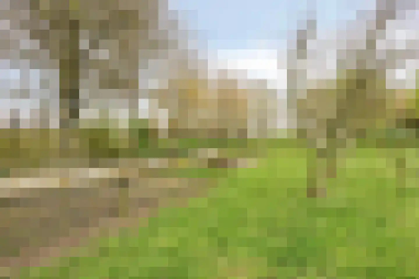 Welleweg 7 Dreischor thumbnail 50