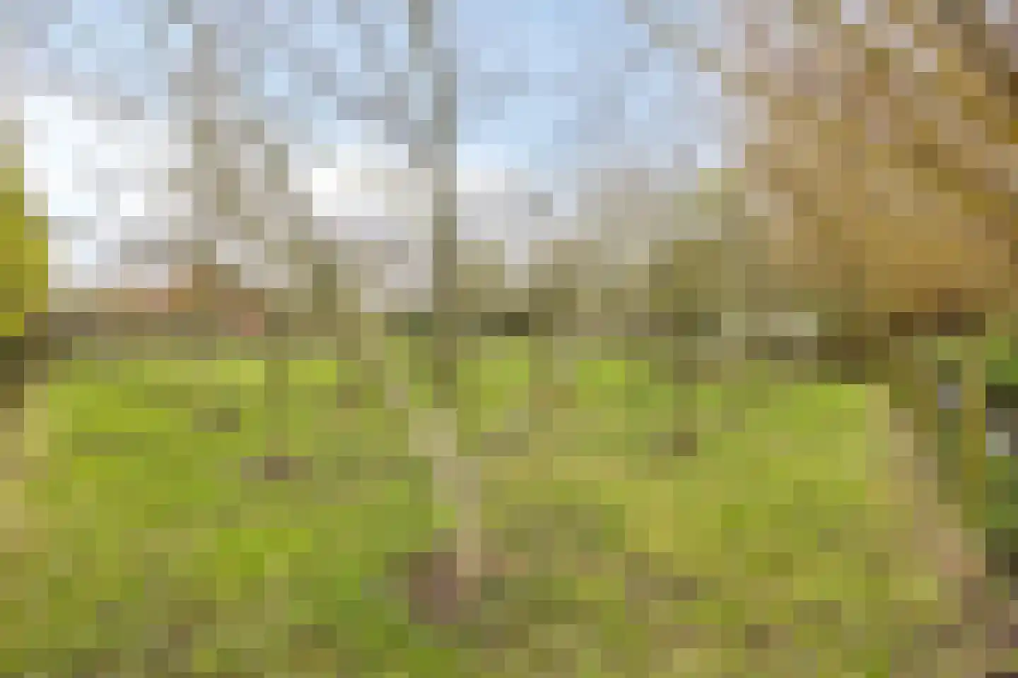 Welleweg 7 Dreischor thumbnail 51