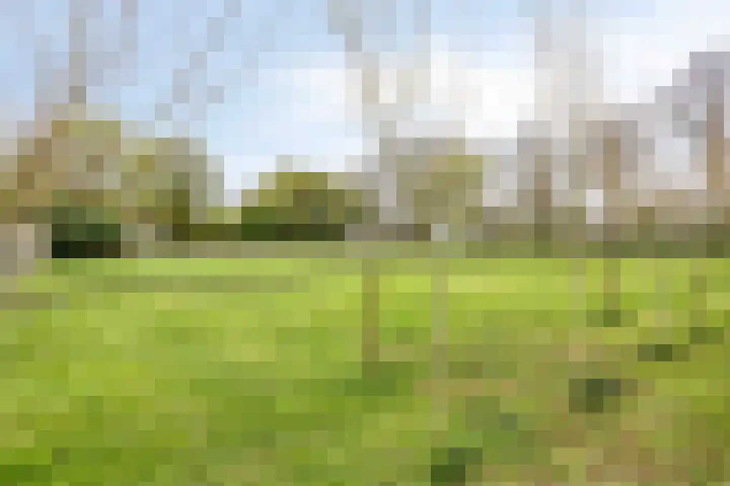 Welleweg 7 Dreischor thumbnail 52