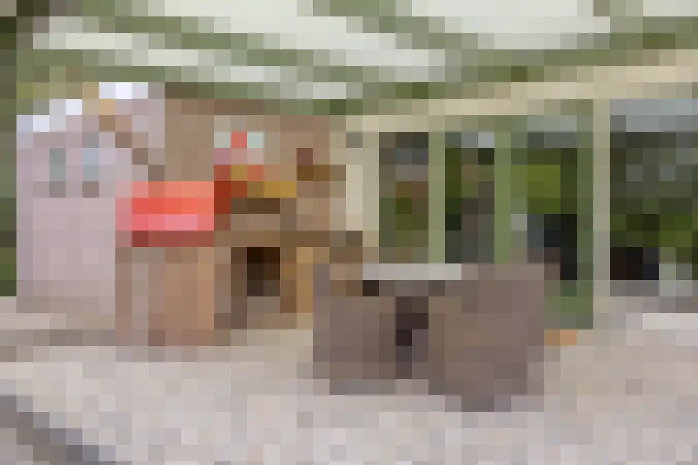 Welleweg 7 Dreischor thumbnail 53