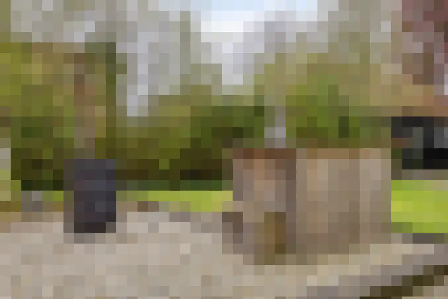 Welleweg 7 Dreischor thumbnail 54