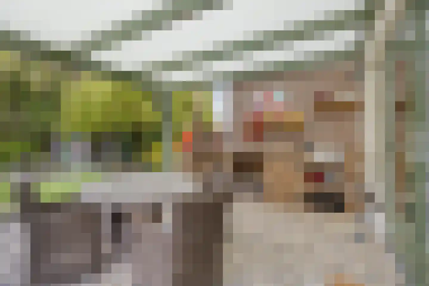 Welleweg 7 Dreischor thumbnail 55
