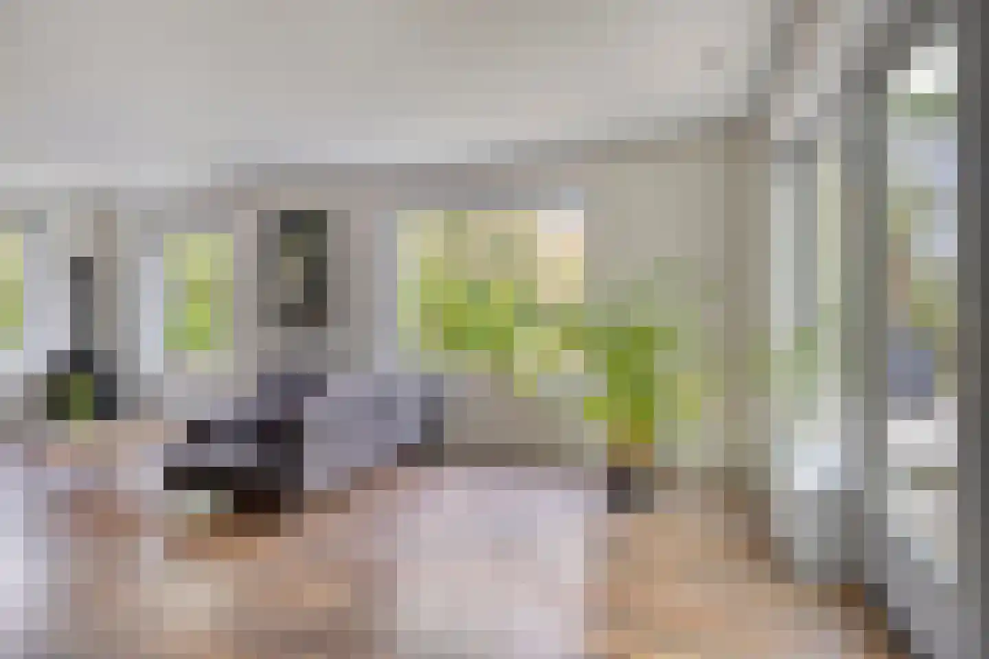 Welleweg 7 Dreischor thumbnail 6