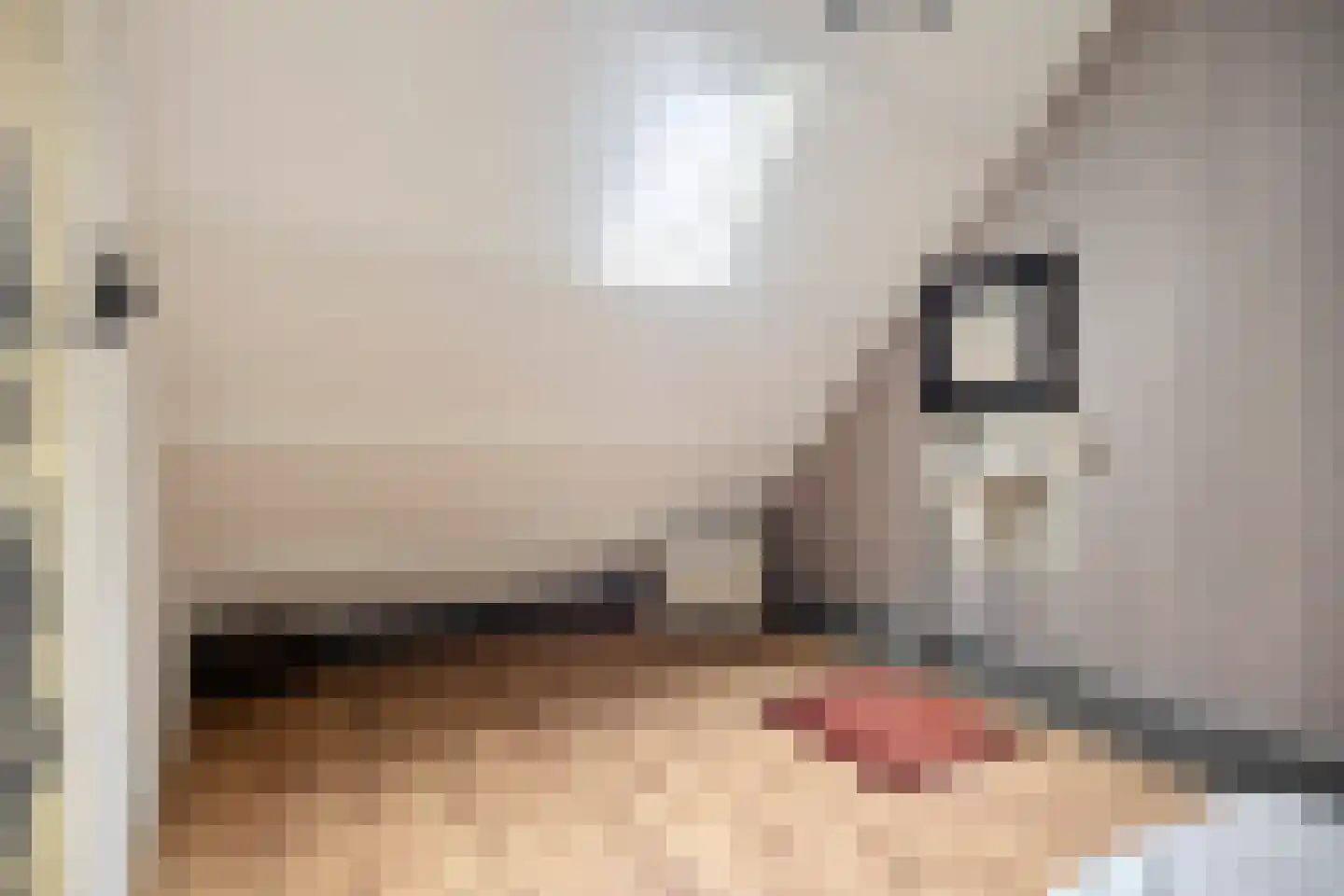 Welleweg 7 Dreischor thumbnail 64
