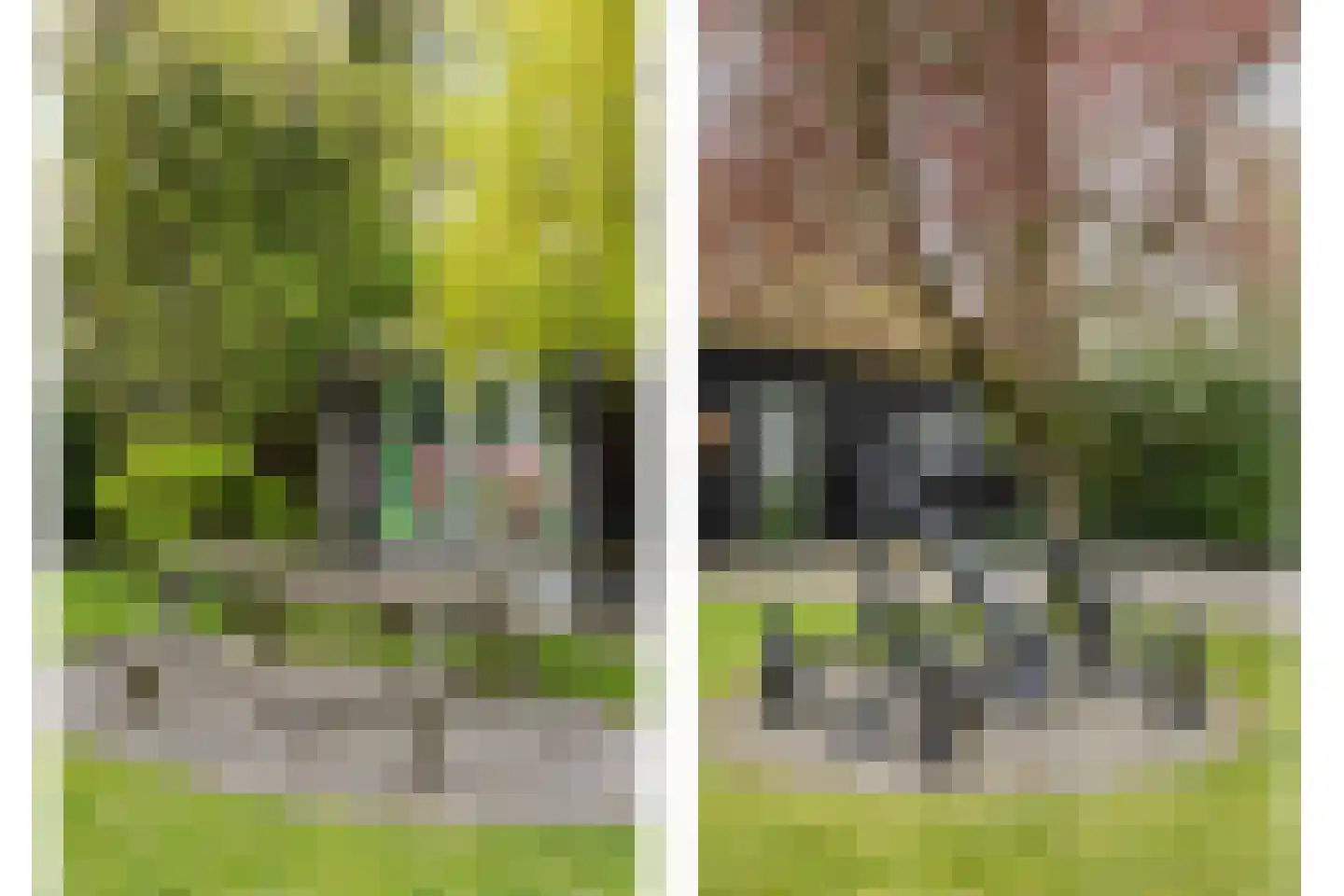 Welleweg 7 Dreischor thumbnail 65