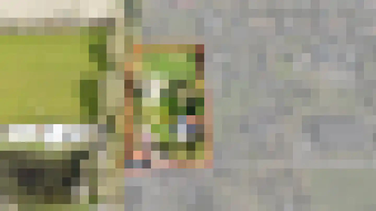 Welleweg 7 Dreischor thumbnail 69
