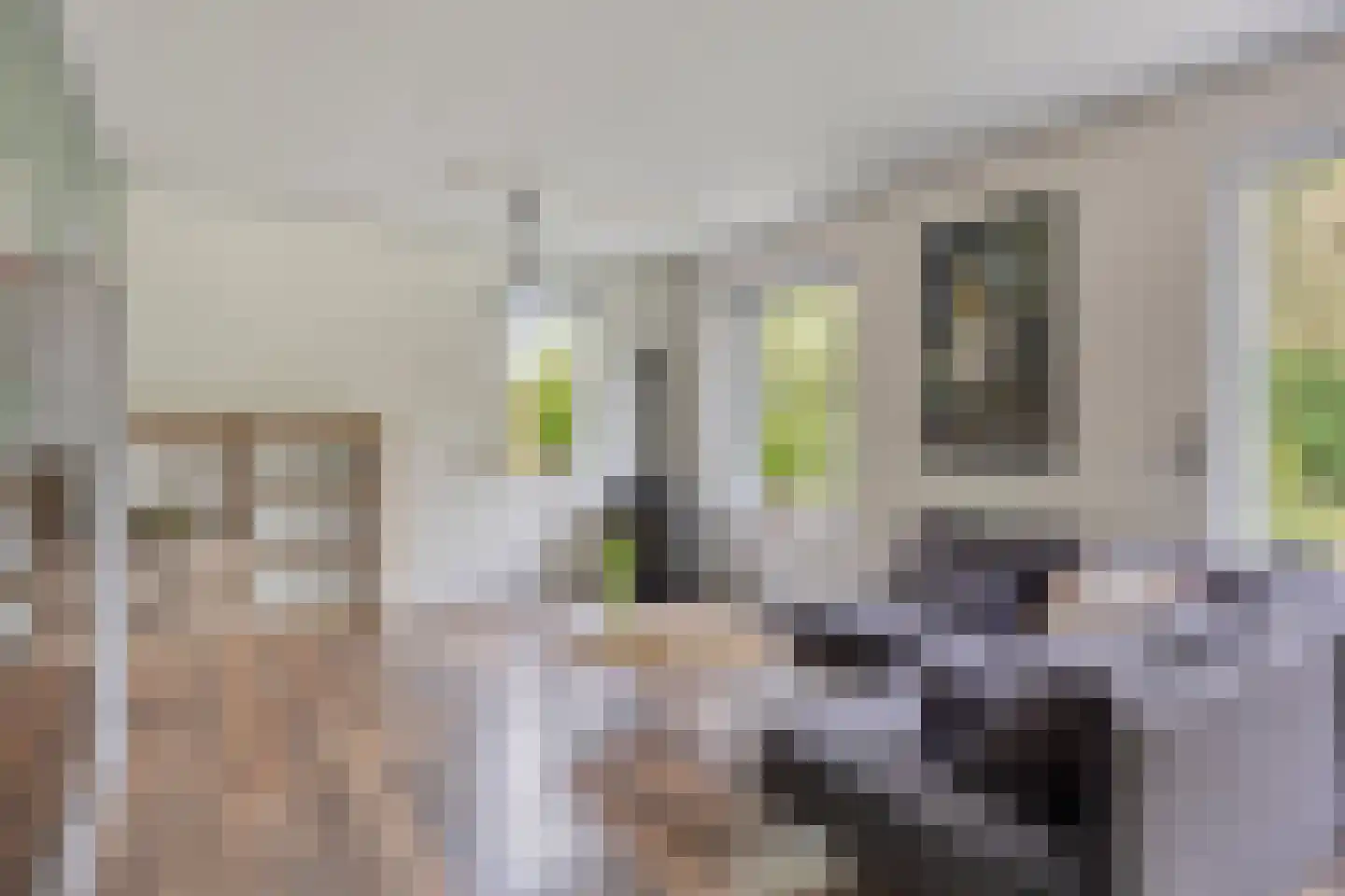 Welleweg 7 Dreischor thumbnail 7