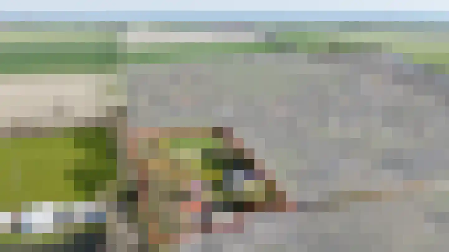 Welleweg 7 Dreischor thumbnail 70