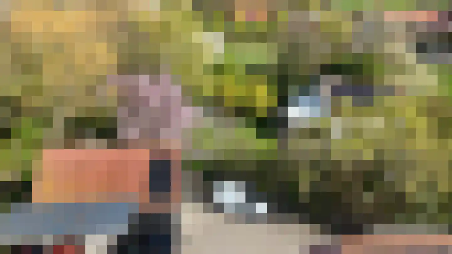 Welleweg 7 Dreischor thumbnail 71