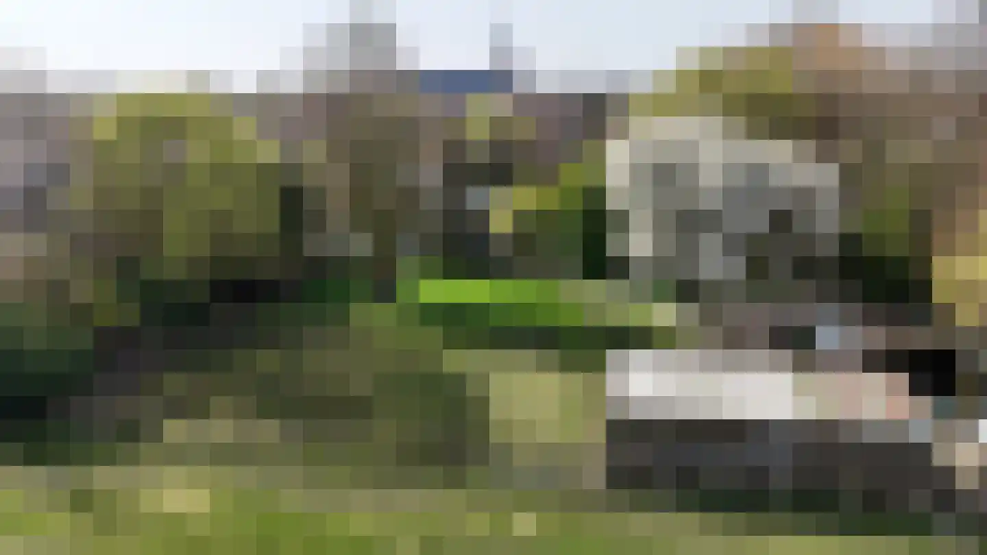Welleweg 7 Dreischor thumbnail 72
