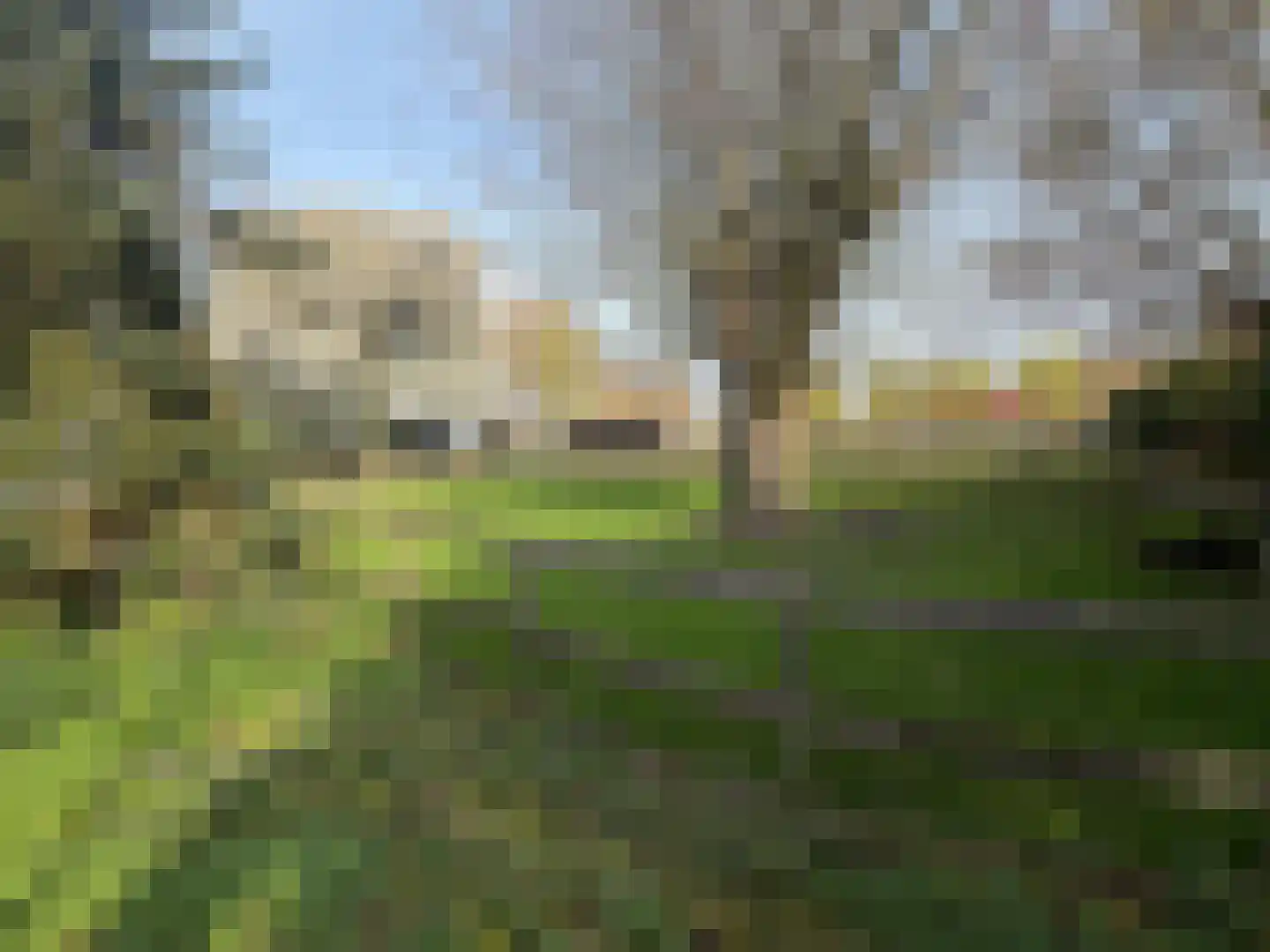 Welleweg 7 Dreischor thumbnail 74