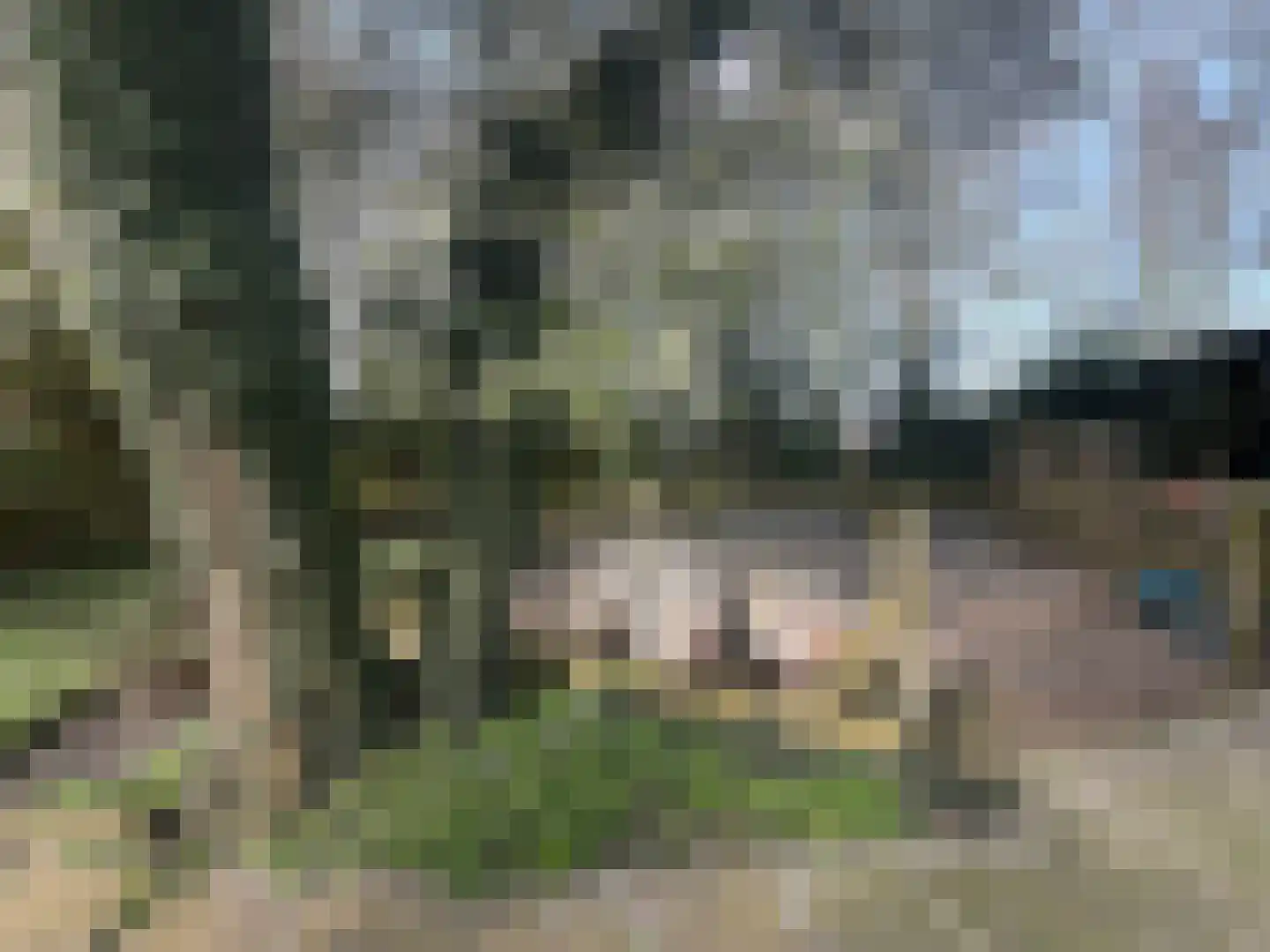 Welleweg 7 Dreischor thumbnail 77