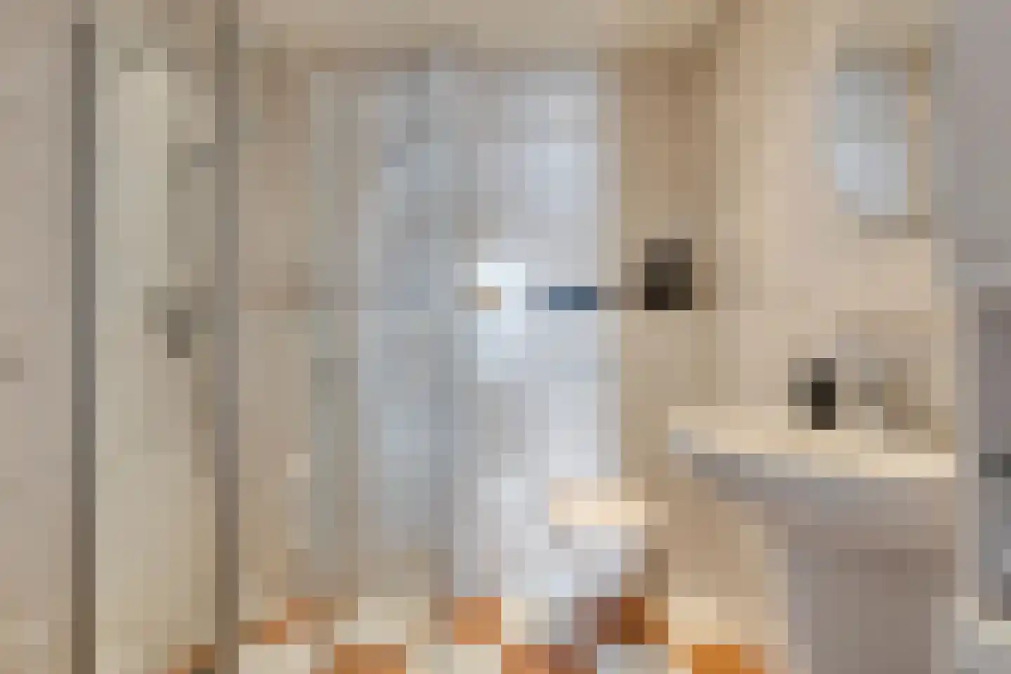 Wellinkwervestraat 6 Middelburg thumbnail 25