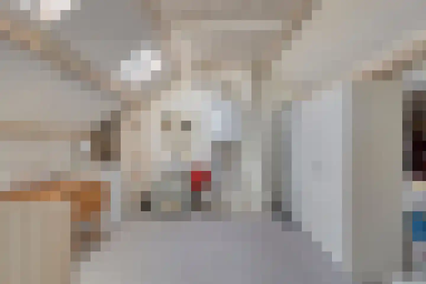 Wellinkwervestraat 6 Middelburg thumbnail 32