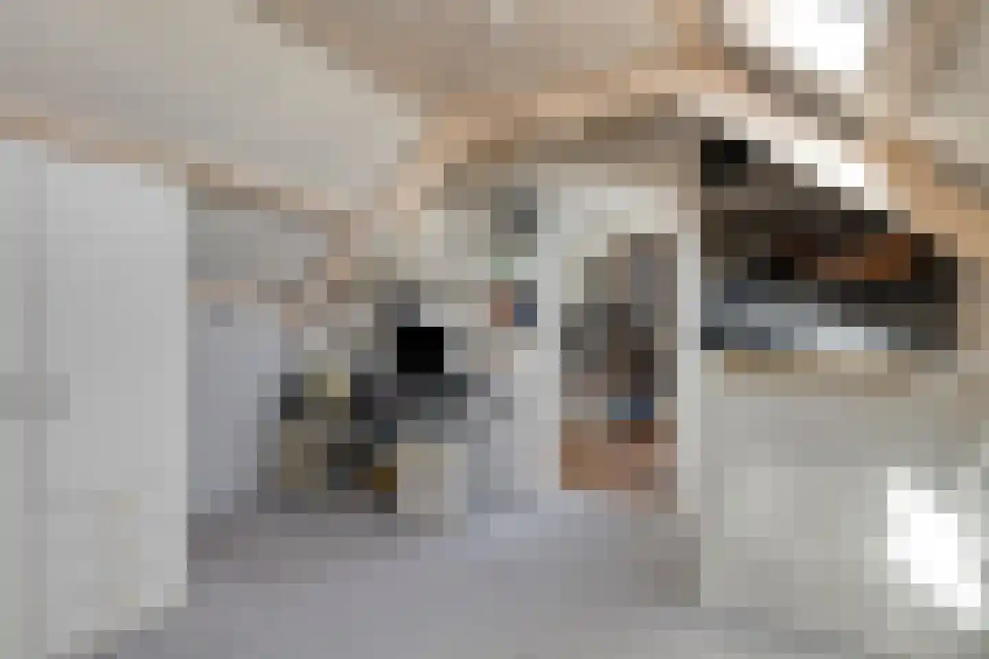 Wellinkwervestraat 6 Middelburg thumbnail 33