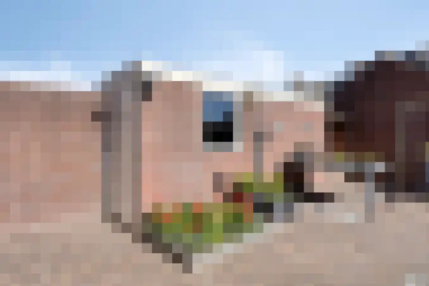 Wellinkwervestraat 6 Middelburg thumbnail 42