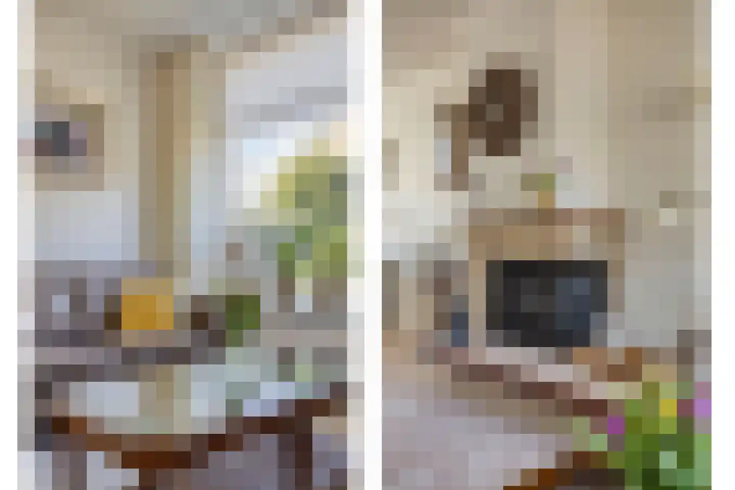 Wellinkwervestraat 6 Middelburg thumbnail 8