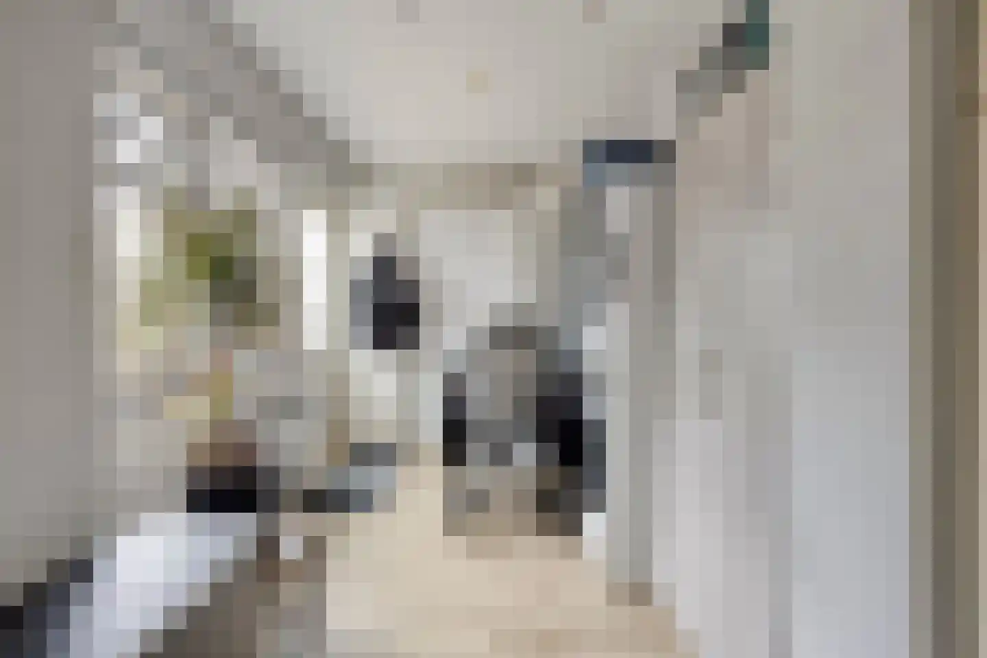 Wellsedam 3 Ammerzoden thumbnail 10
