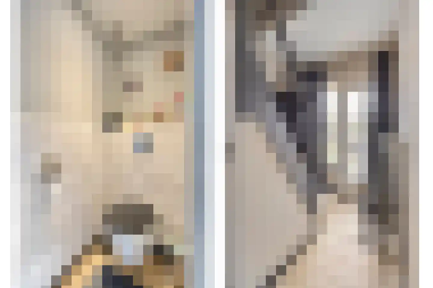Wellsedam 3 Ammerzoden thumbnail 12