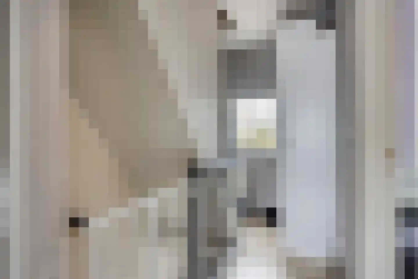 Wellsedam 3 Ammerzoden thumbnail 12