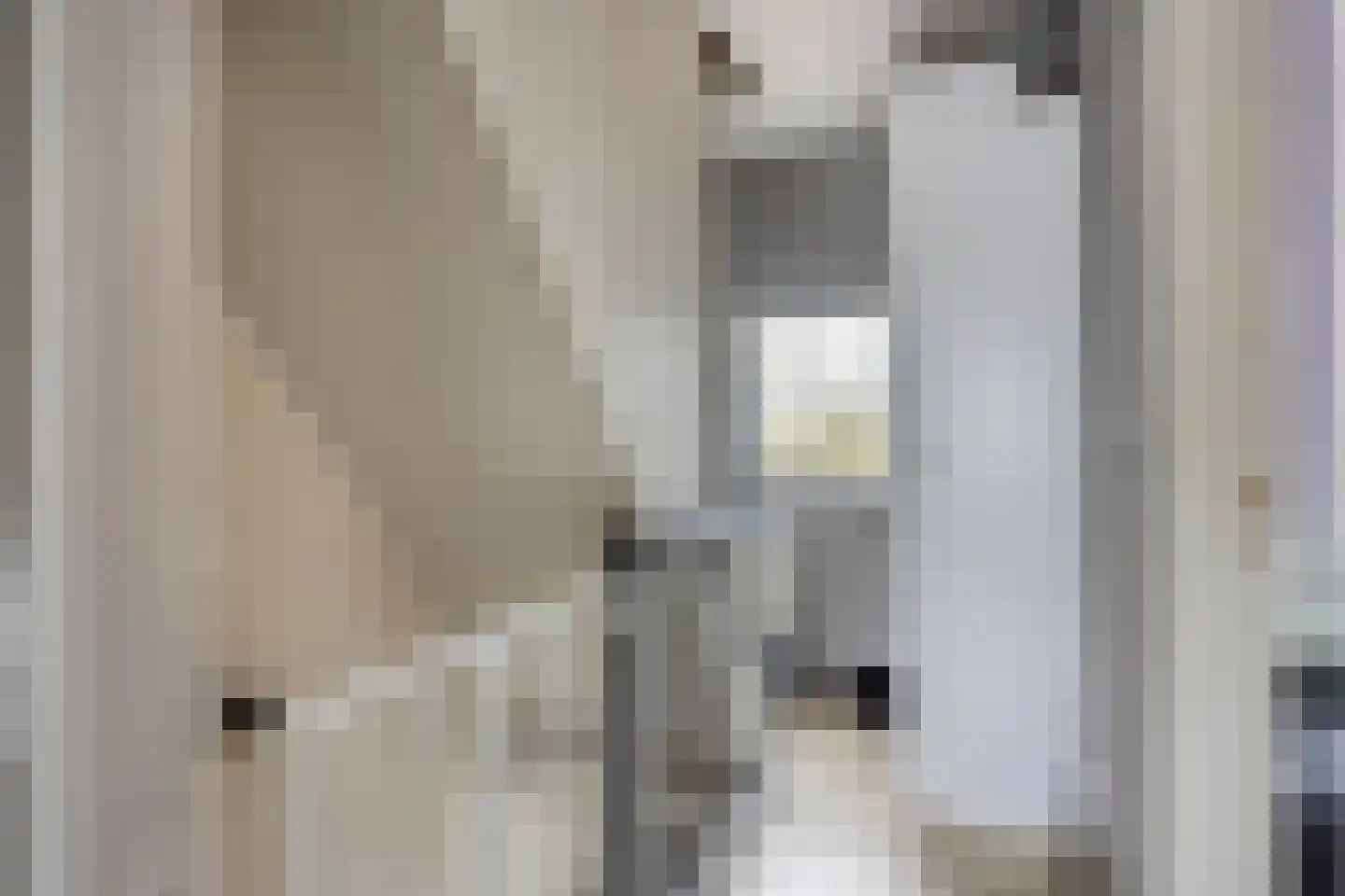 Wellsedam 3 Ammerzoden thumbnail 13
