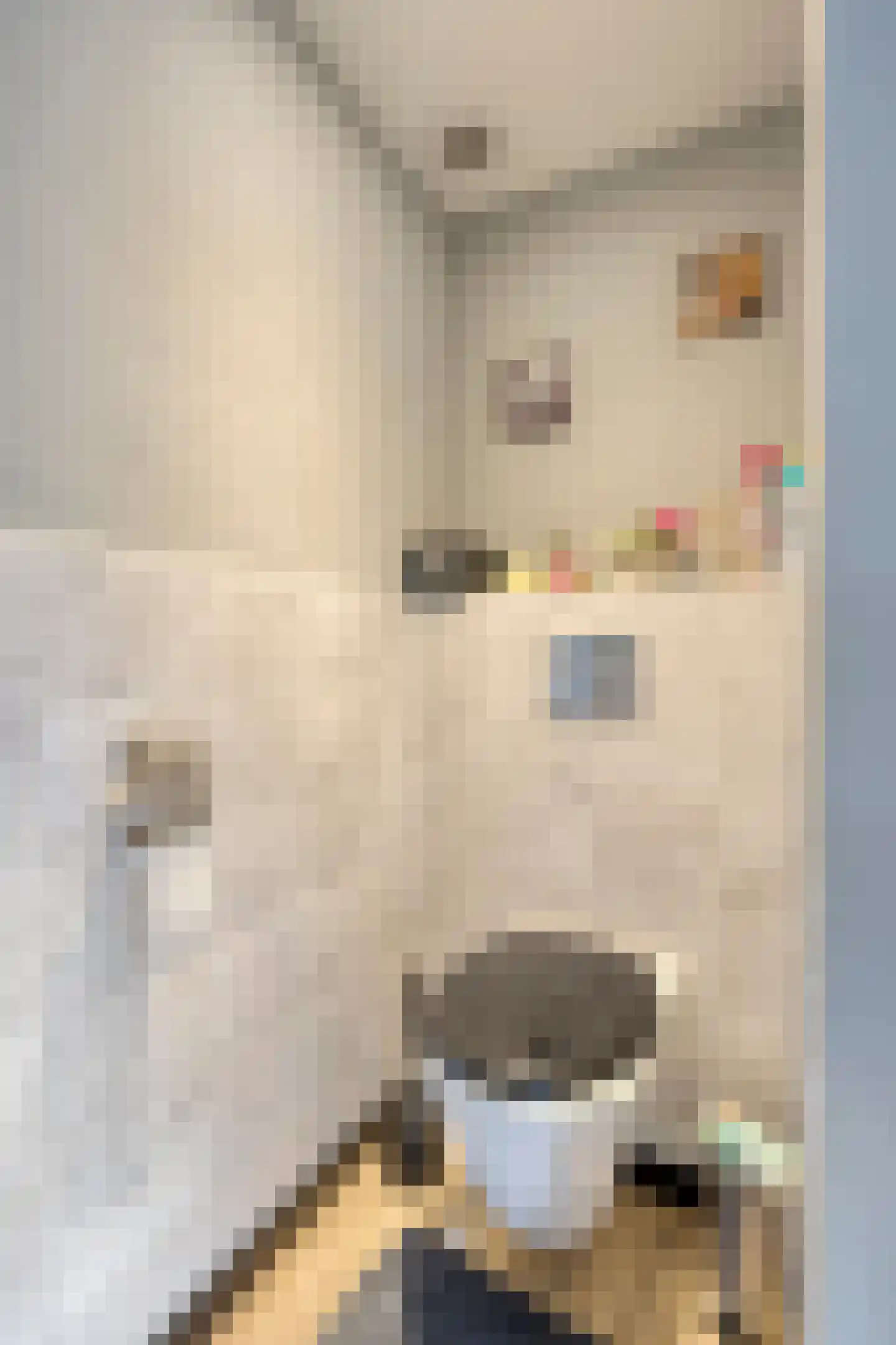 Wellsedam 3 Ammerzoden thumbnail 14