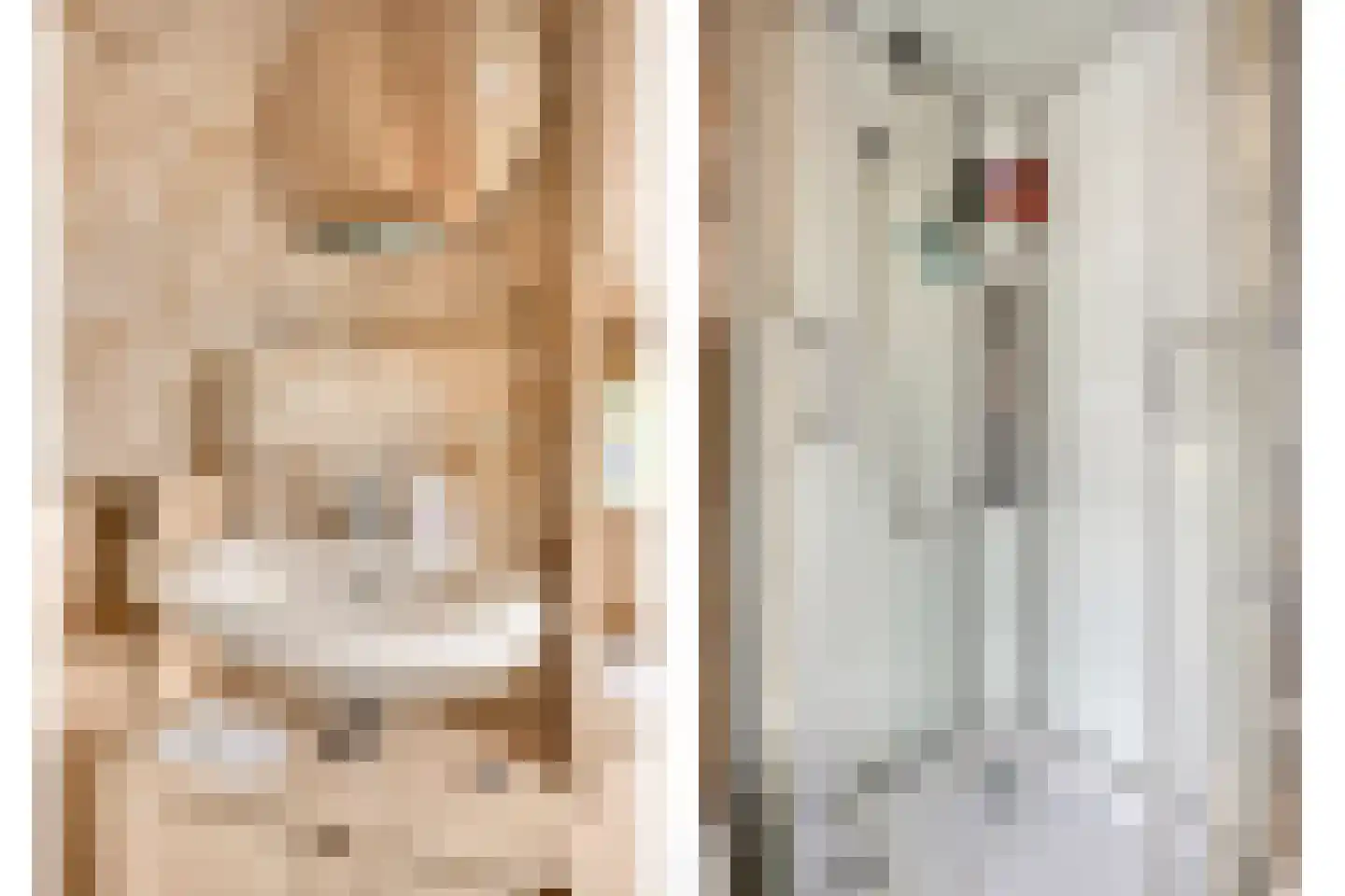 Wellsedam 3 Ammerzoden thumbnail 18