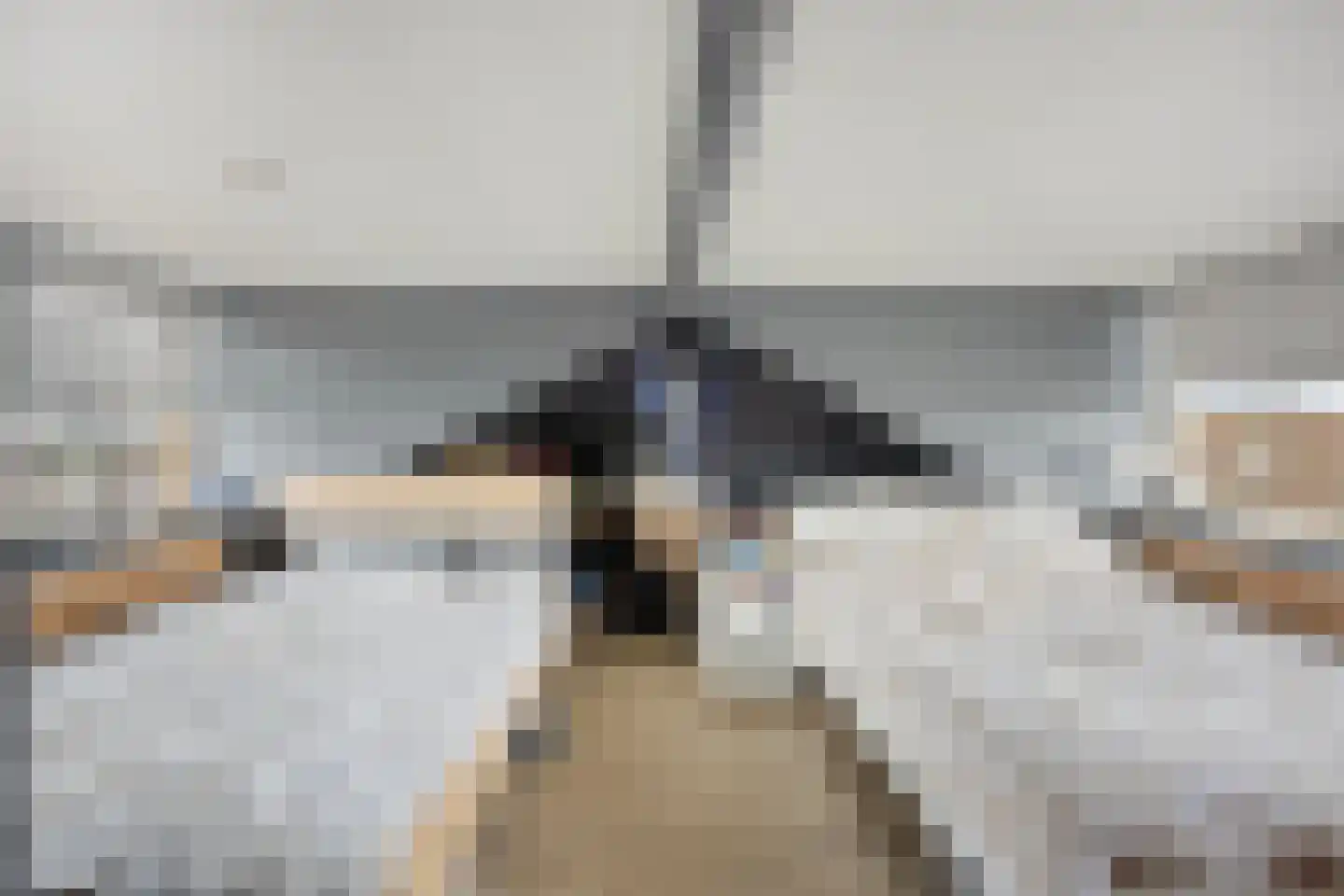 Wellsedam 3 Ammerzoden thumbnail 23