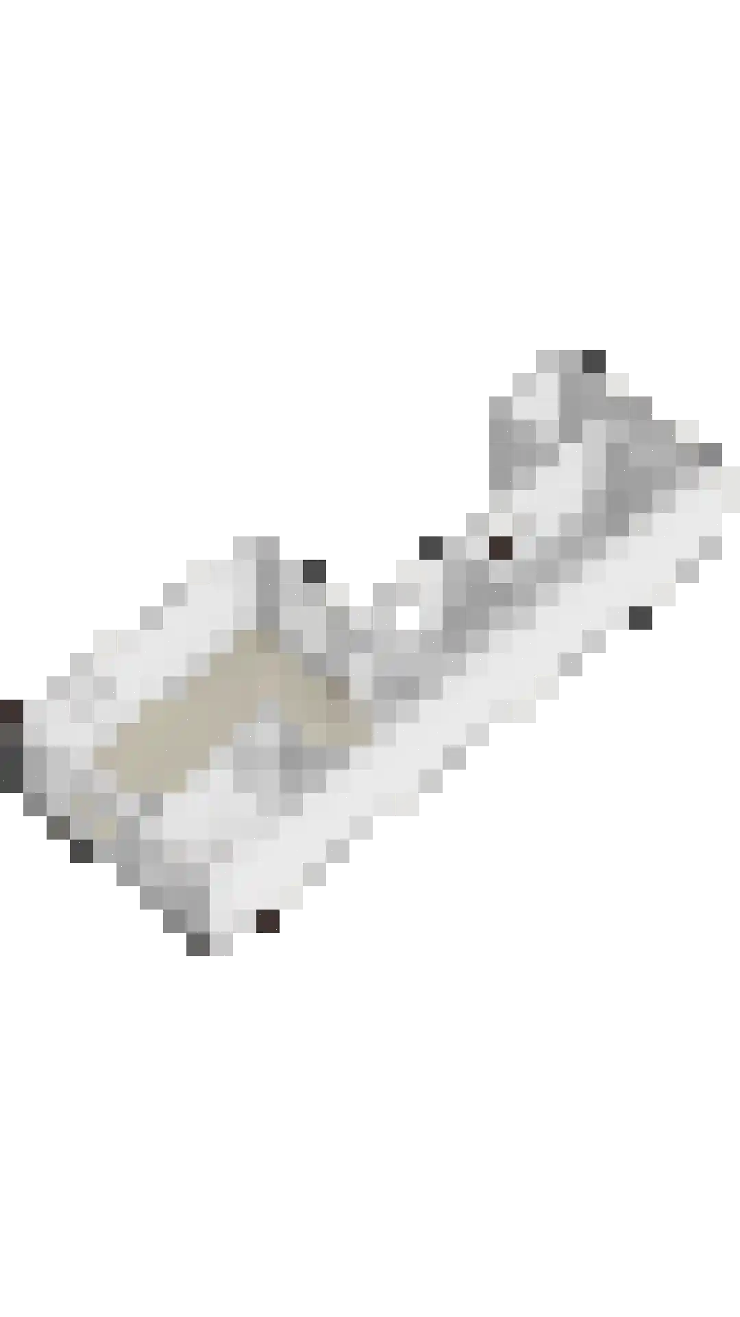 Wellsedam 3 Ammerzoden thumbnail 30