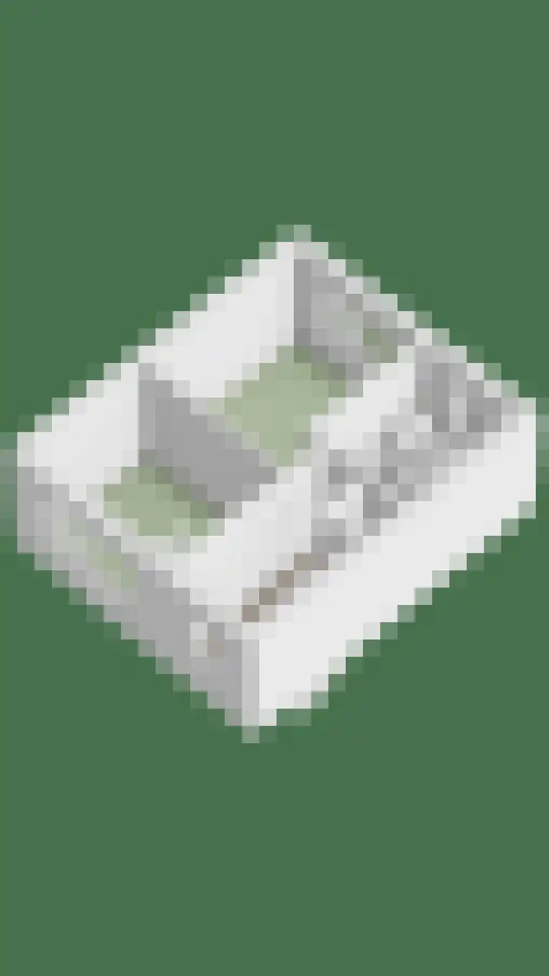 Wellsedam 3 Ammerzoden thumbnail 30