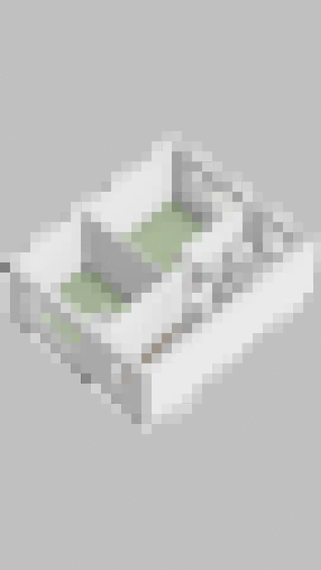 Wellsedam 3 Ammerzoden thumbnail 31