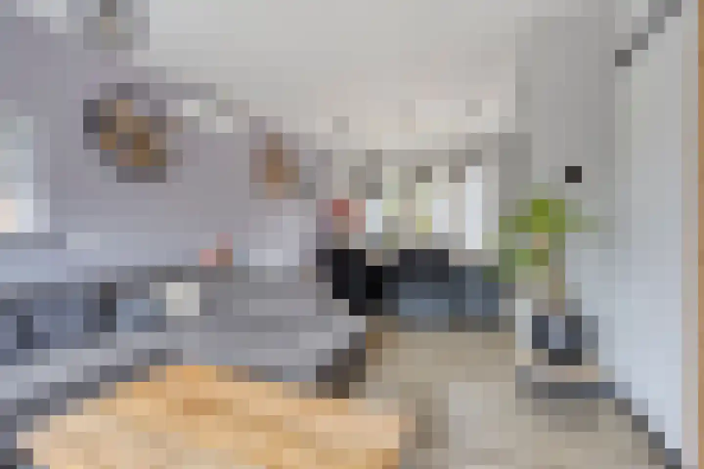 Wellsedam 3 Ammerzoden thumbnail 5