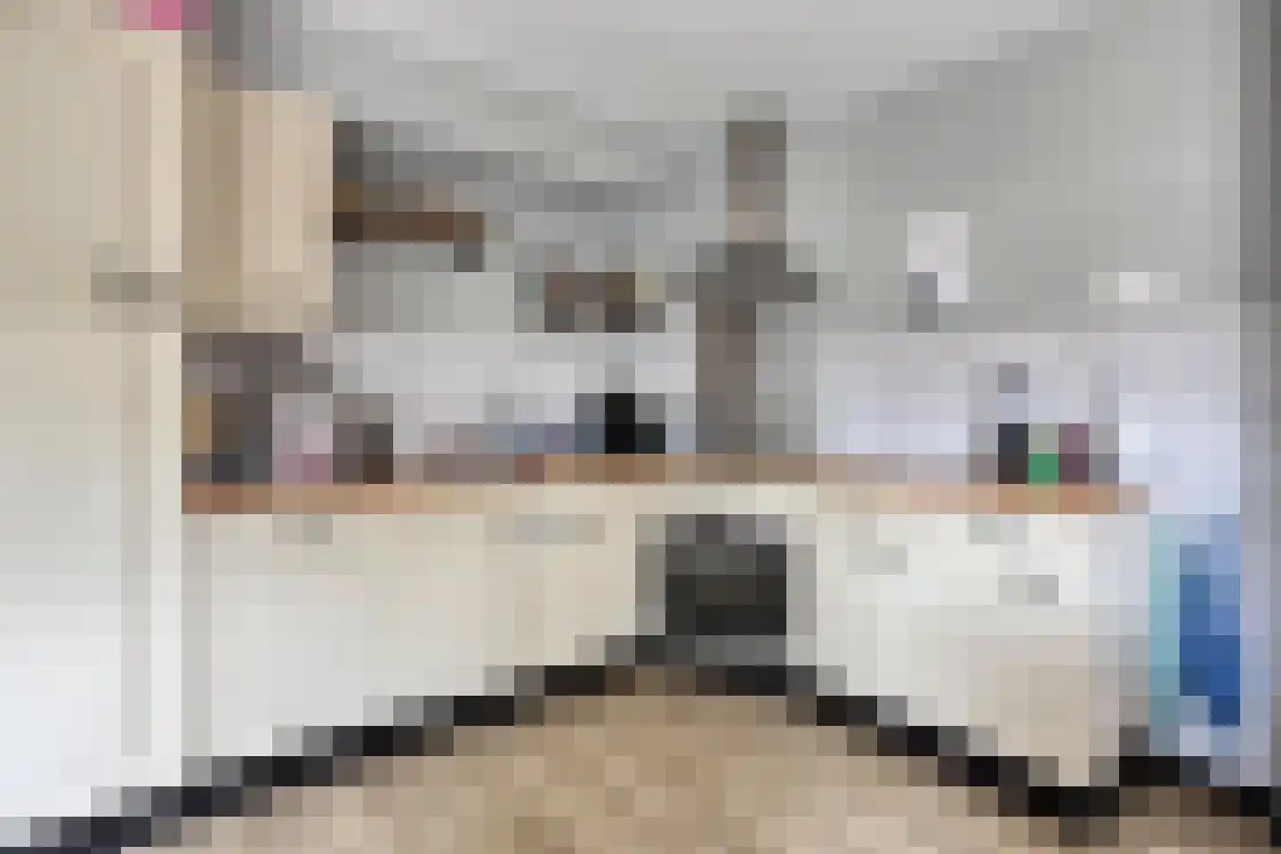 Wellsedam 3 Ammerzoden thumbnail 8