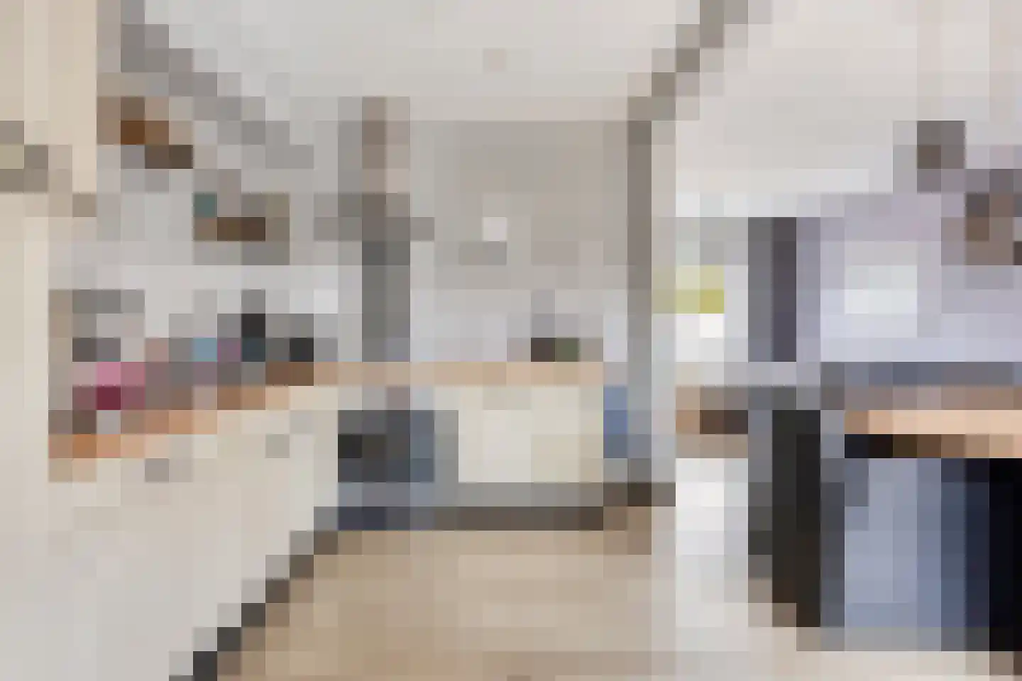 Wellsedam 3 Ammerzoden thumbnail 9