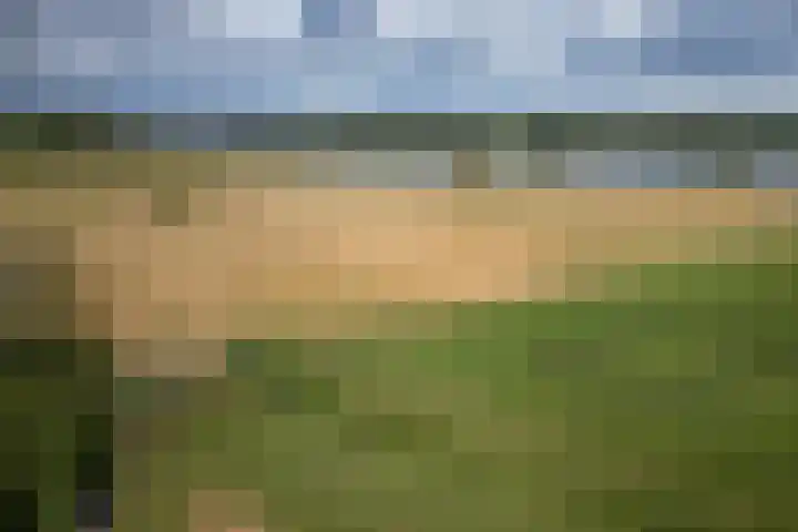 Wellsedijk 12 Well thumbnail 47