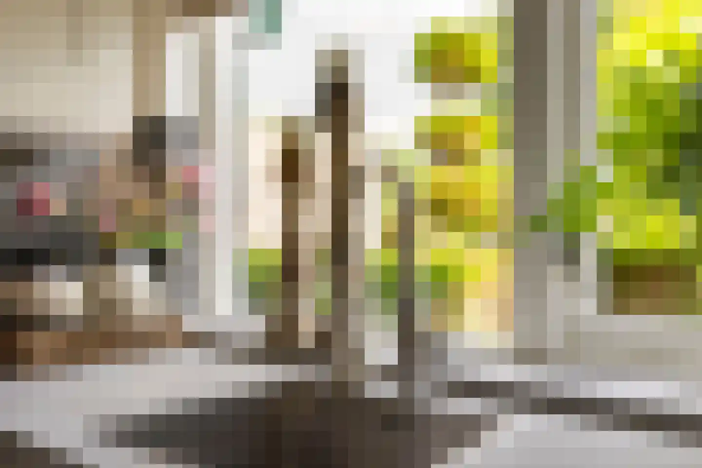 Welnahorst 4 Enschede thumbnail 18