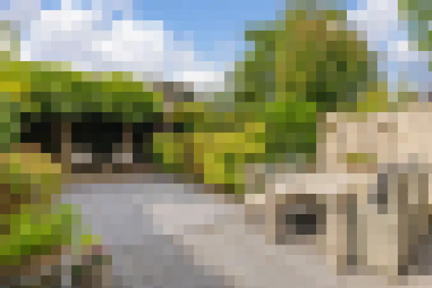 Welnahorst 4 Enschede thumbnail 31